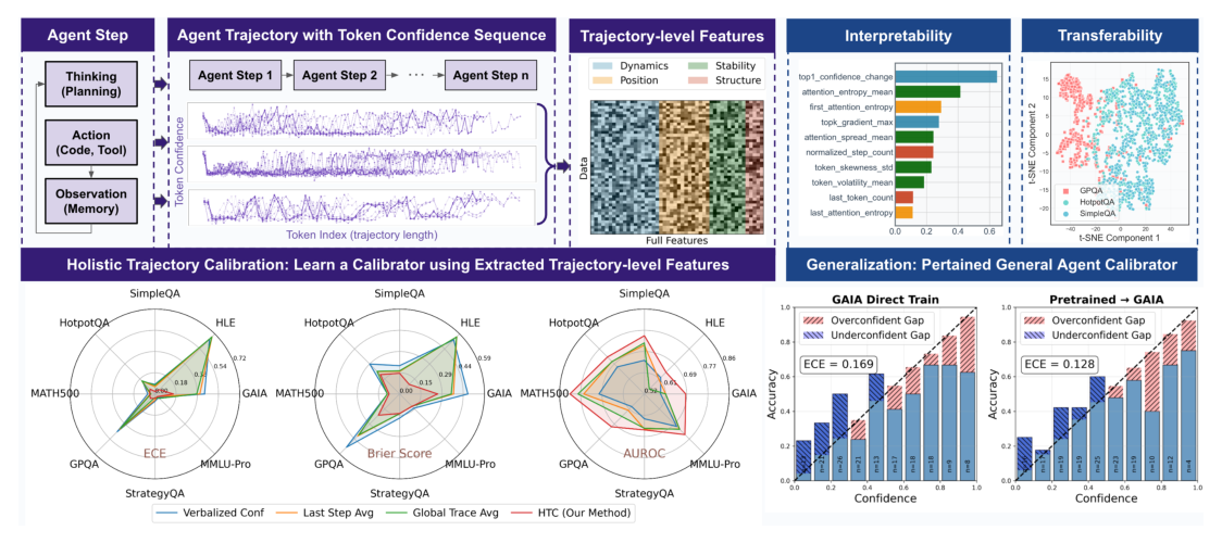 Holistic Trajectory Calibration overview: per-step token-confidence sequences become trajectory-level features (dynamics, stability, position, structure) feeding a lightweight interpretable calibrator.